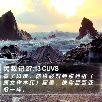 民 数 记 27:13 CUVS Bible Verse Image