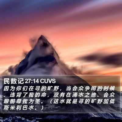 民 数 记 27:14 CUVS Bible Verse Image