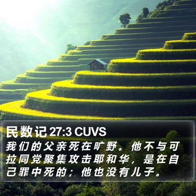 民 数 记 27:3 CUVS Bible Verse Image