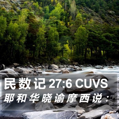 民 数 记 27:6 CUVS Bible Verse Image