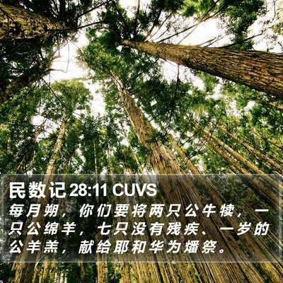 民 数 记 28:11 CUVS Bible Verse Image