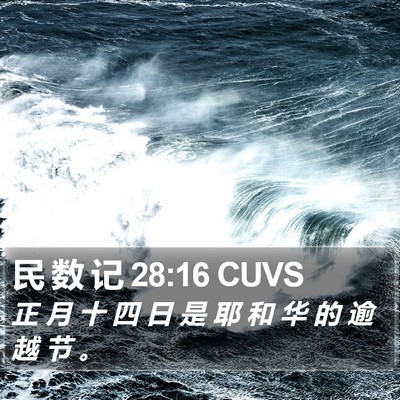 民 数 记 28:16 CUVS Bible Verse Image