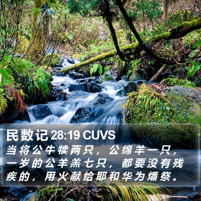 民 数 记 28:19 CUVS Bible Verse Image