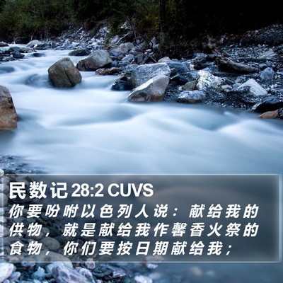 民 数 记 28:2 CUVS Bible Verse Image