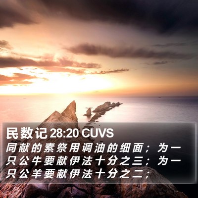 民 数 记 28:20 CUVS Bible Verse Image