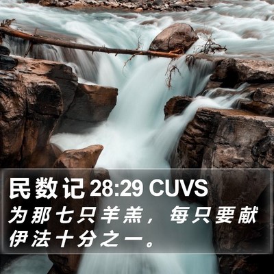 民 数 记 28:29 CUVS Bible Verse Image