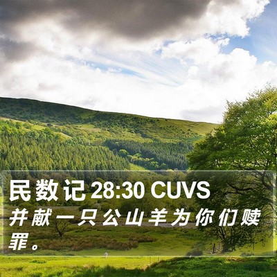 民 数 记 28:30 CUVS Bible Verse Image
