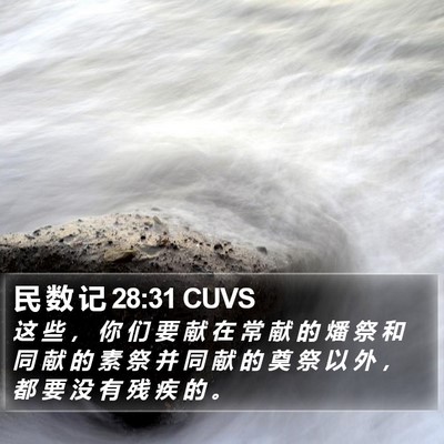 民 数 记 28:31 CUVS Bible Verse Image