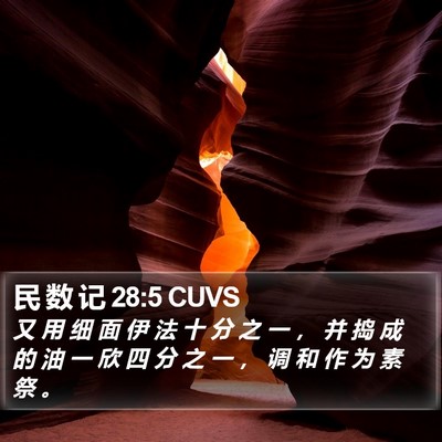 民 数 记 28:5 CUVS Bible Verse Image