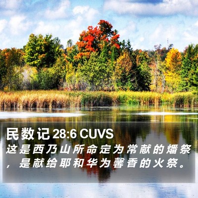民 数 记 28:6 CUVS Bible Verse Image