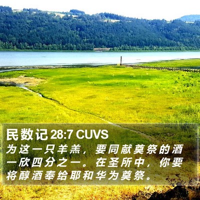 民 数 记 28:7 CUVS Bible Verse Image