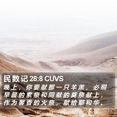 民 数 记 28:8 CUVS Bible Verse Image