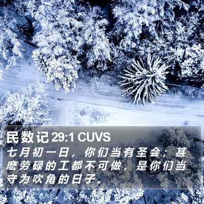 民 数 记 29:1 CUVS Bible Verse Image
