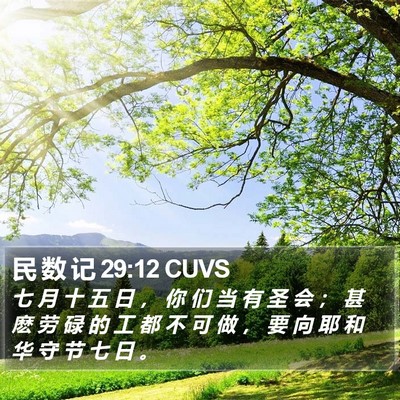 民 数 记 29:12 CUVS Bible Verse Image