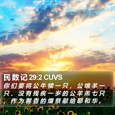 民 数 记 29:2 CUVS Bible Verse Image