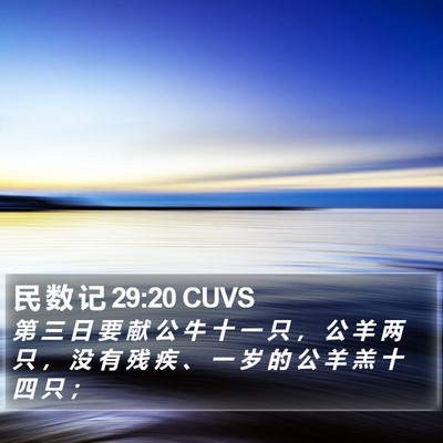 民 数 记 29:20 CUVS Bible Verse Image