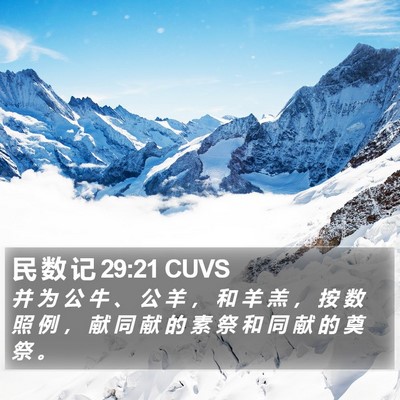 民 数 记 29:21 CUVS Bible Verse Image