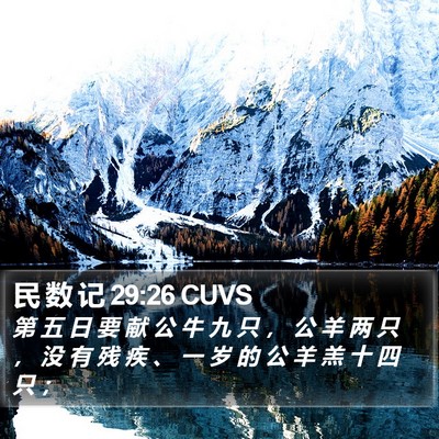 民 数 记 29:26 CUVS Bible Verse Image