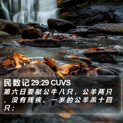 民 数 记 29:29 CUVS Bible Verse Image