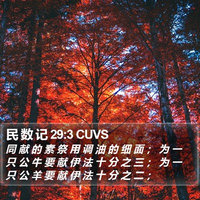 民 数 记 29:3 CUVS Bible Verse Image