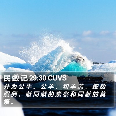 民 数 记 29:30 CUVS Bible Verse Image
