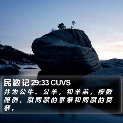 民 数 记 29:33 CUVS Bible Verse Image