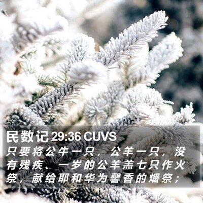 民 数 记 29:36 CUVS Bible Verse Image