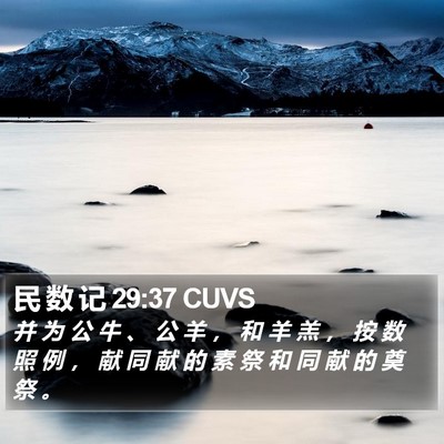 民 数 记 29:37 CUVS Bible Verse Image
