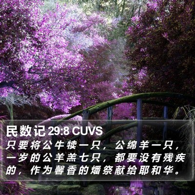 民 数 记 29:8 CUVS Bible Verse Image