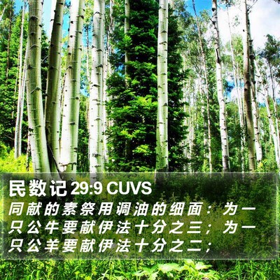 民 数 记 29:9 CUVS Bible Verse Image