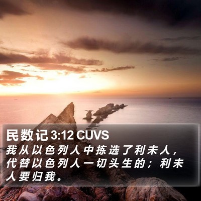 民 数 记 3:12 CUVS Bible Verse Image
