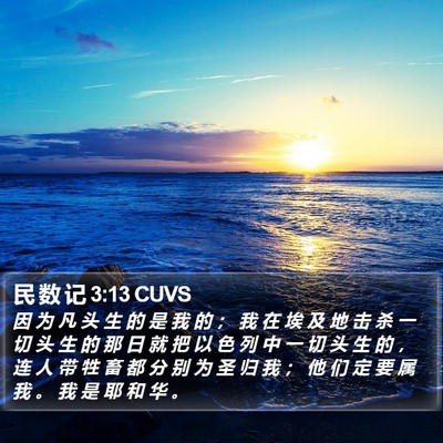民 数 记 3:13 CUVS Bible Verse Image
