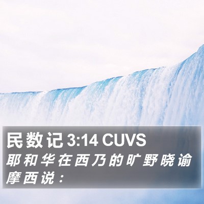 民 数 记 3:14 CUVS Bible Verse Image
