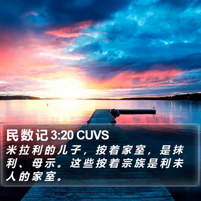 民 数 记 3:20 CUVS Bible Verse Image