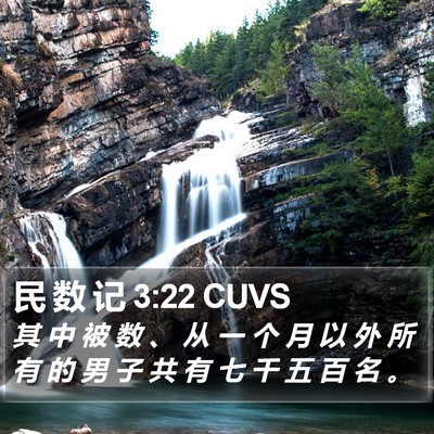 民 数 记 3:22 CUVS Bible Verse Image