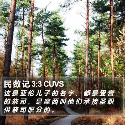 民 数 记 3:3 CUVS Bible Verse Image