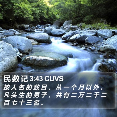 民 数 记 3:43 CUVS Bible Verse Image