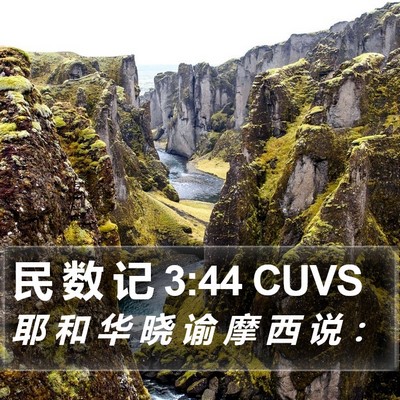民 数 记 3:44 CUVS Bible Verse Image