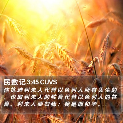 民 数 记 3:45 CUVS Bible Verse Image