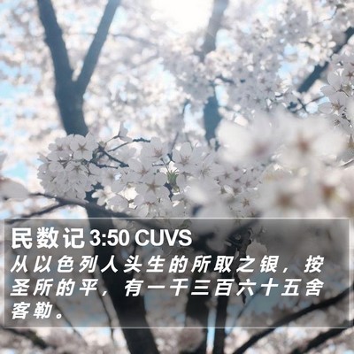 民 数 记 3:50 CUVS Bible Verse Image