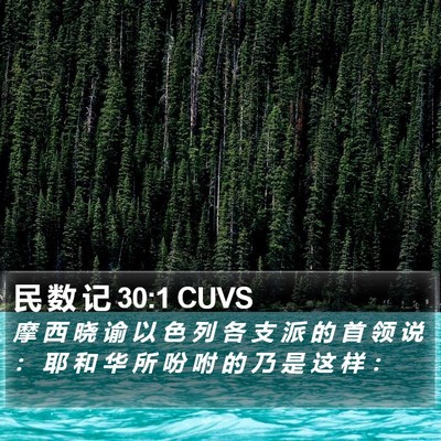 民 数 记 30:1 CUVS Bible Verse Image