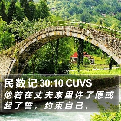 民 数 记 30:10 CUVS Bible Verse Image