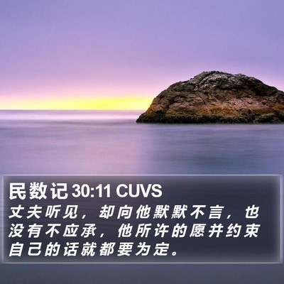 民 数 记 30:11 CUVS Bible Verse Image