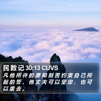 民 数 记 30:13 CUVS Bible Verse Image