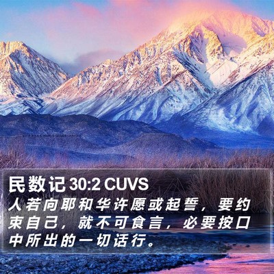 民 数 记 30:2 CUVS Bible Verse Image