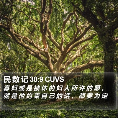 民 数 记 30:9 CUVS Bible Verse Image