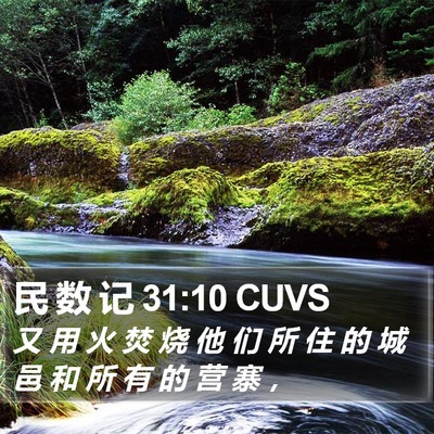 民 数 记 31:10 CUVS Bible Verse Image