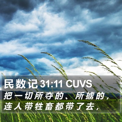 民 数 记 31:11 CUVS Bible Verse Image