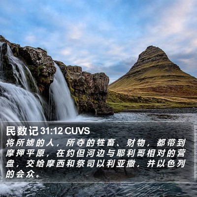 民 数 记 31:12 CUVS Bible Verse Image