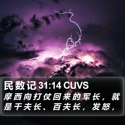 民 数 记 31:14 CUVS Bible Verse Image